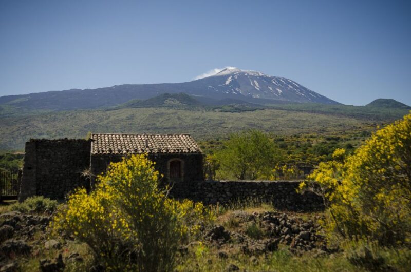 Old Sicily and Etna Wine Tasting Tour From Taormina - Transportation and Services