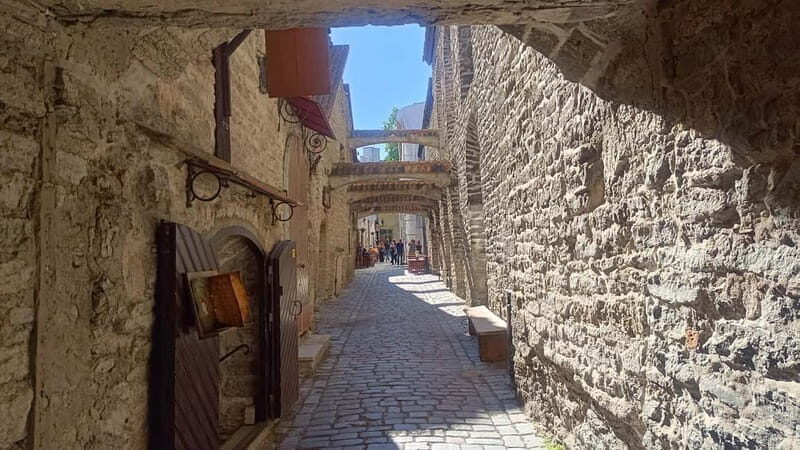 Old Tallinn & Medieval daily life Private Tour - Key Points
