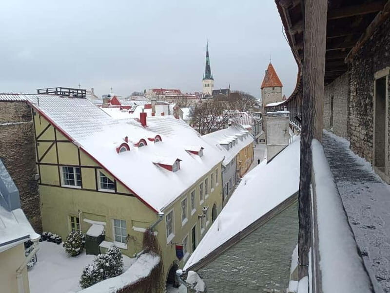 Old Tallinn & Medieval daily life Private Tour - Exploring Medieval Tallinn in Depth
