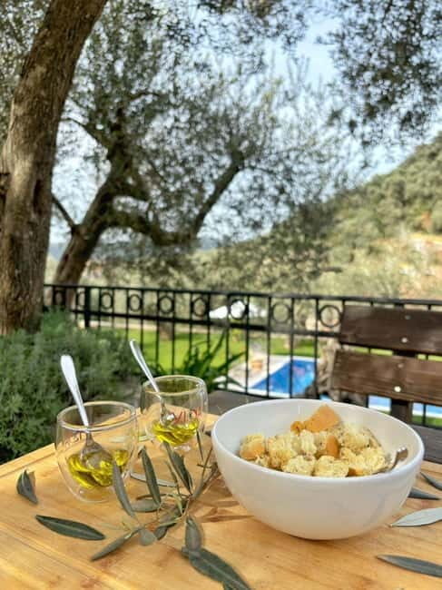 Old Town Bar, Old Olive Tree and the region of olive groves - The Old Olive Tree: A Living Heritage
