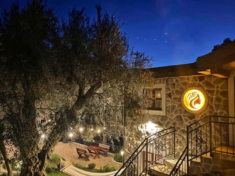Old Town Bar, Old Olive Tree and the region of olive groves - Final Return and Flexibility