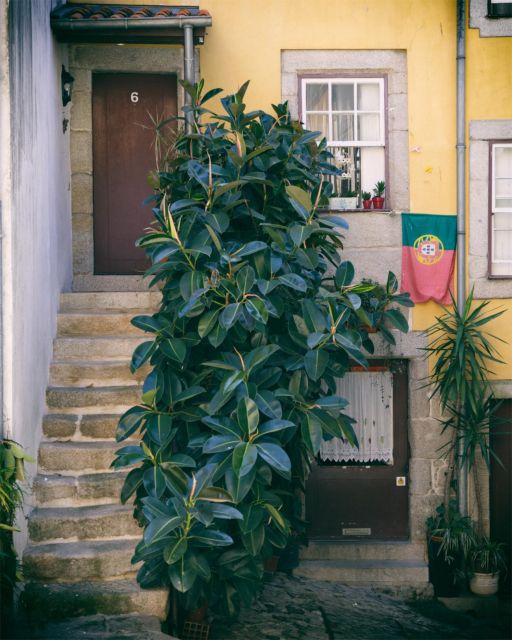 Old Town Porto - Walking Tour - Customer Testimonial