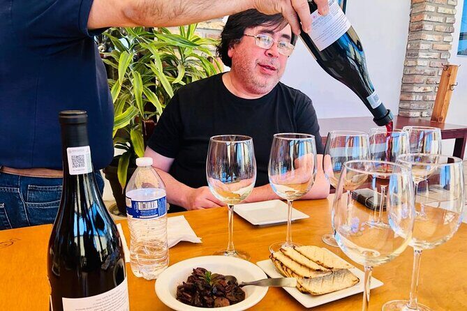 Old Wine Route Tour Experience at Baja California. ALL INCLUSIVE! - Who Would Love This Tour?