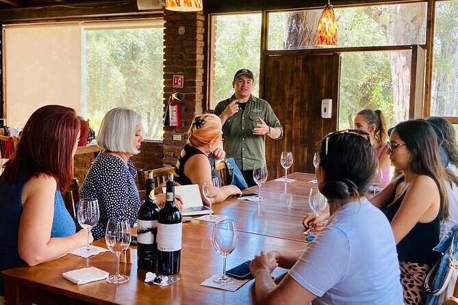 Old Wine Route Tour Experience at Baja California. ALL INCLUSIVE! - FAQ