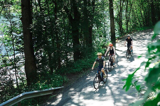 Olden: Fjord e-bike tour - An In-Depth Look at the Olden Fjord E-Bike Tour