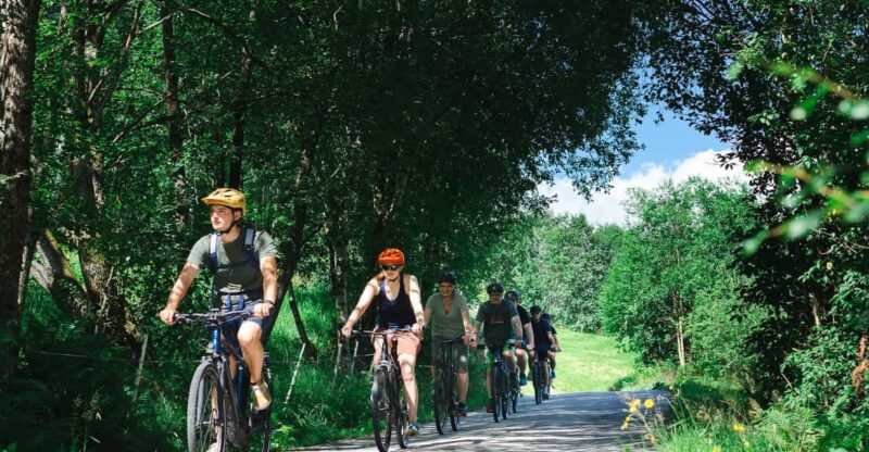 Olden: Fjord E-Bike Tour - Good To Know