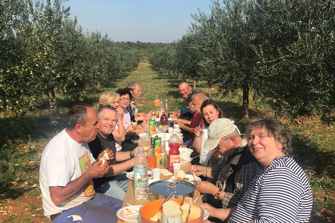 Olea Prima Organic Olive Oil Experience Review - Olive Oil Tasting Experience