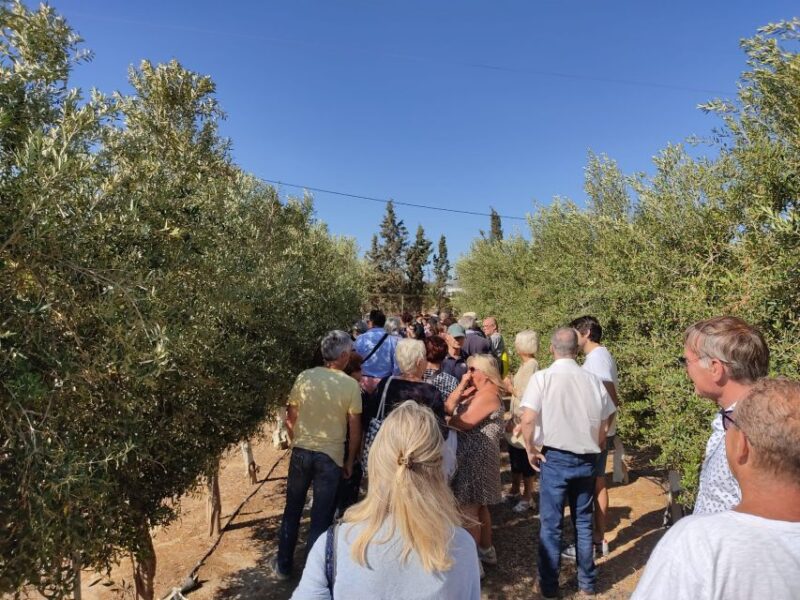 Oleoalmanzora: Guided Tour Olive Groves and EVOO Facilities - Olive Grove Tour