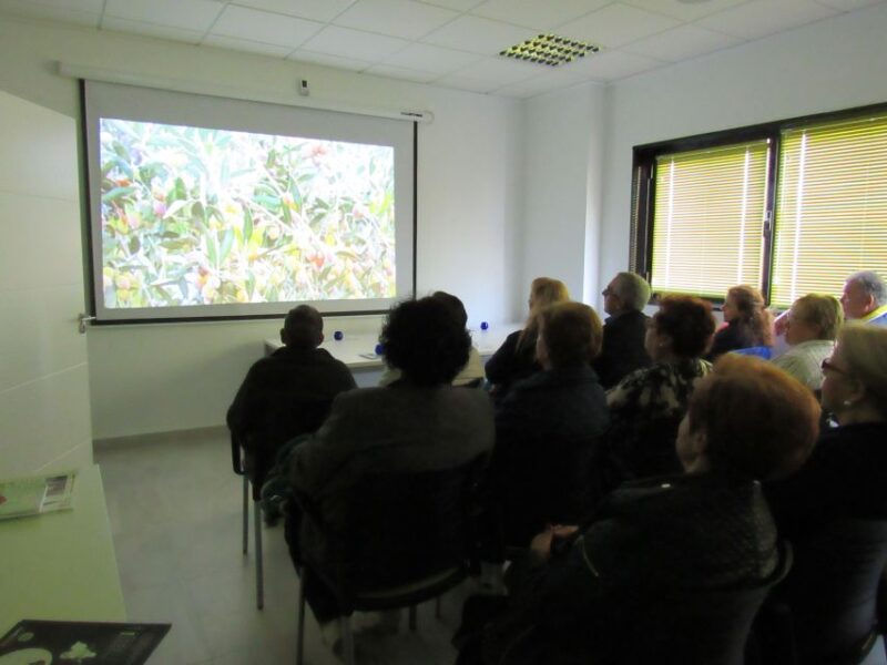 Oleoalmanzora: Guided Tour Olive Groves and EVOO Facilities - EVOO Cellar and Tasting
