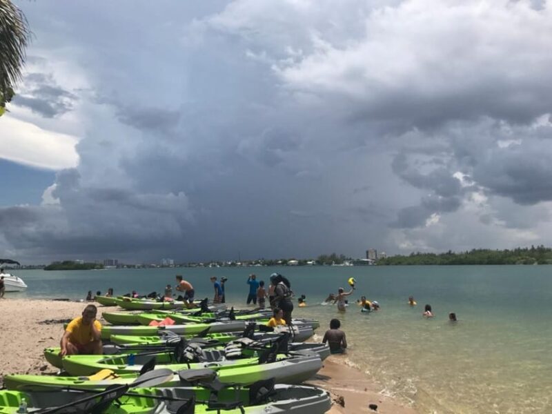 Oleta River State Park: Eco Kayak or Paddleboard Tour - Key Points