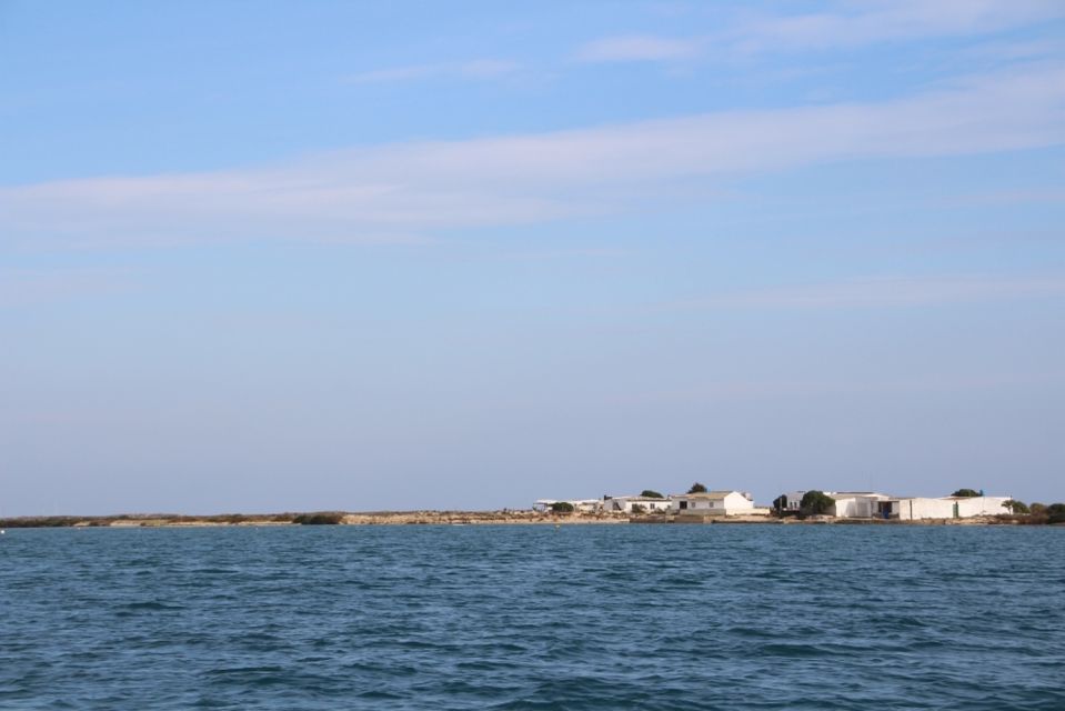 Olhão 3 Islands 1 Day Tour - Guided Experience
