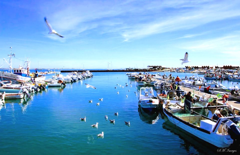 Olhão 3 Islands 1 Day Tour - Additional Information