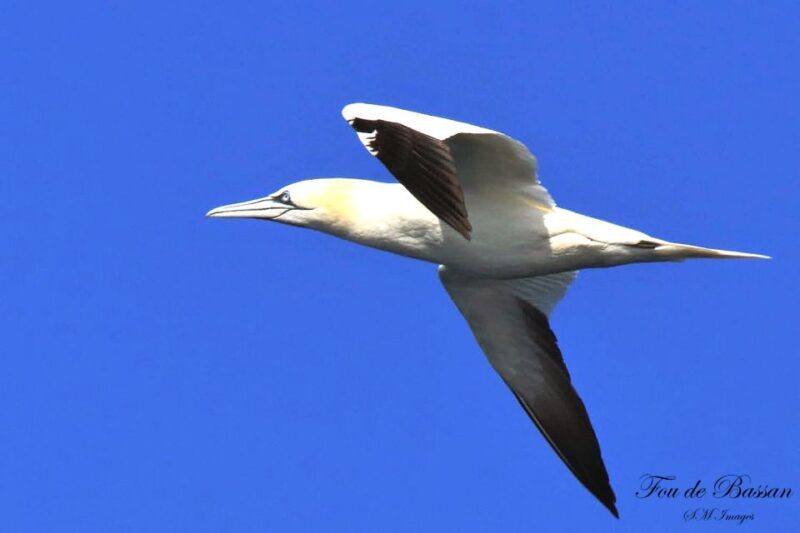 Olhão: 3 Islands Guided Sightseeing Tour with Lunch - Price and Value Analysis