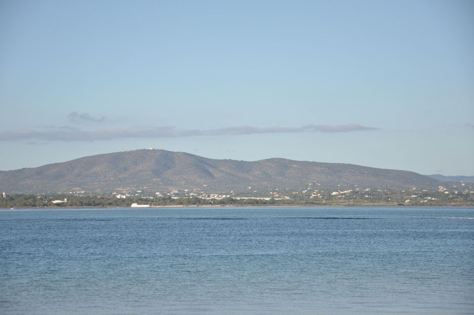 Olhão: Beautiful Route 1H - Wildlife and Nature Insights