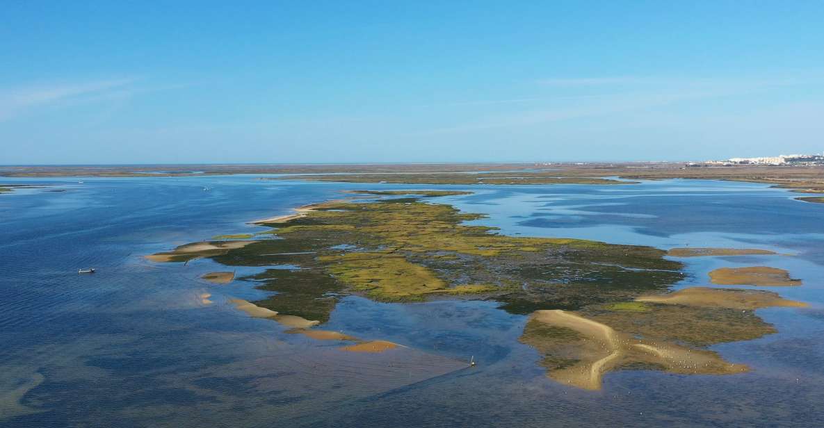 Olhão: Ria Formosa Boat Cruise to Armona and Culatra - Experience Itinerary