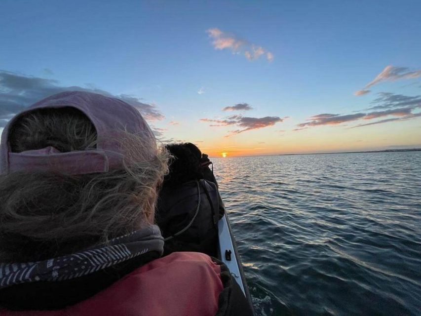 Olhão: Ria Formosa Boat Cruise to Armona and Culatra - Customer Reviews