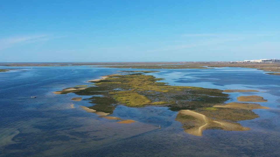 Olhão: Ria Formosa Boat Cruise to Armona and Culatra - Star Ratings