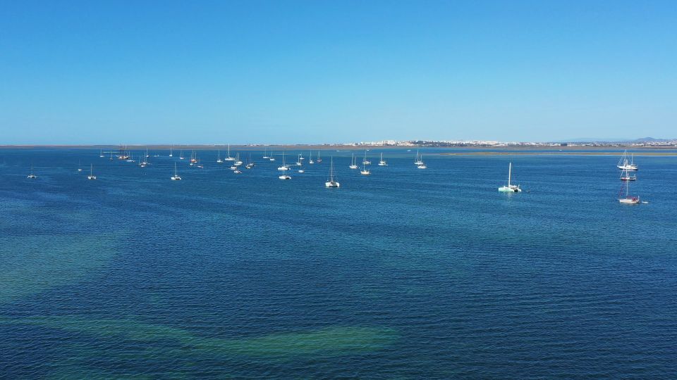 Olhão: Ria Formosa Boat Cruise to Armona and Culatra - Additional Information