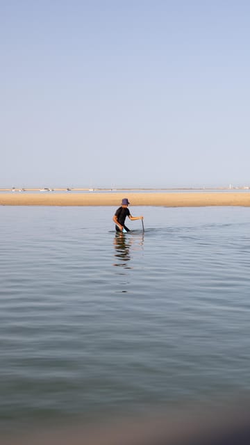 Olhão: Ria Formosa Boat Tour with Oyster Tasting - Key Points