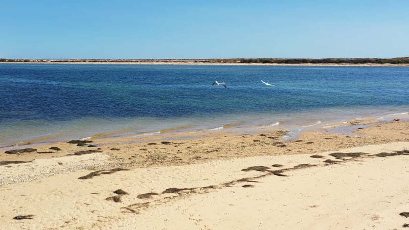 Olhão: Ria Formosa National Park Boat Cruise - The value of this experience
