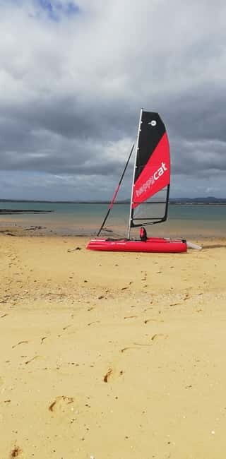 Olhao : sailing tour on a small catamaran on the Ria Formosa - An In-depth Look at the Experience