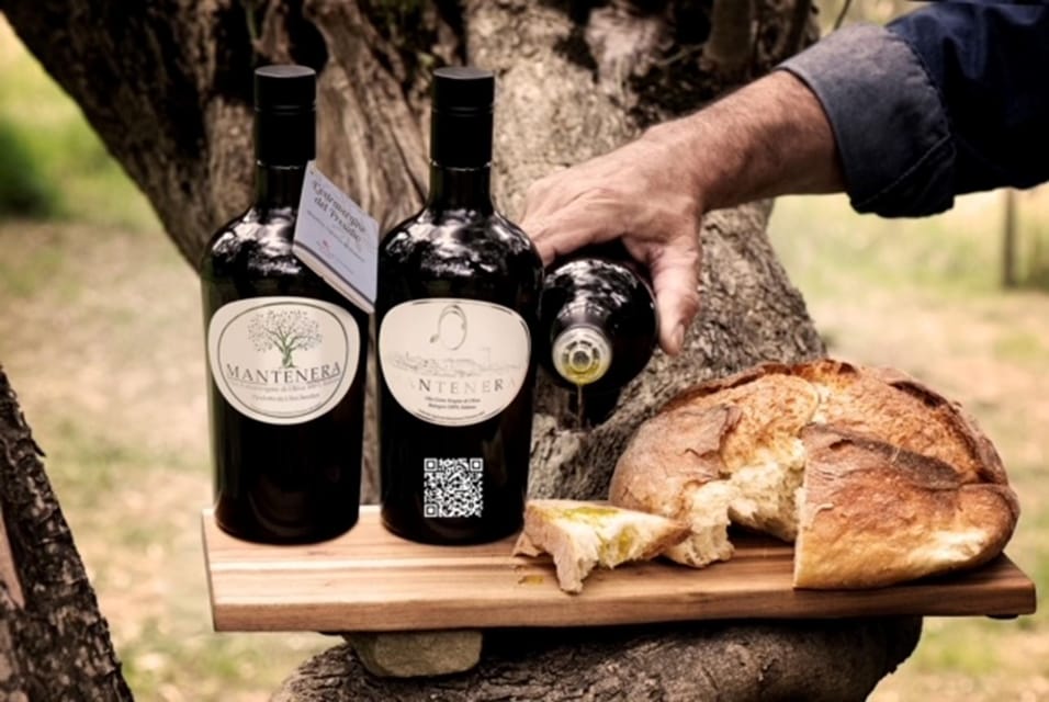 Olive grove tour with tasting - Matera - Discovering the Olive Grove: What to Expect