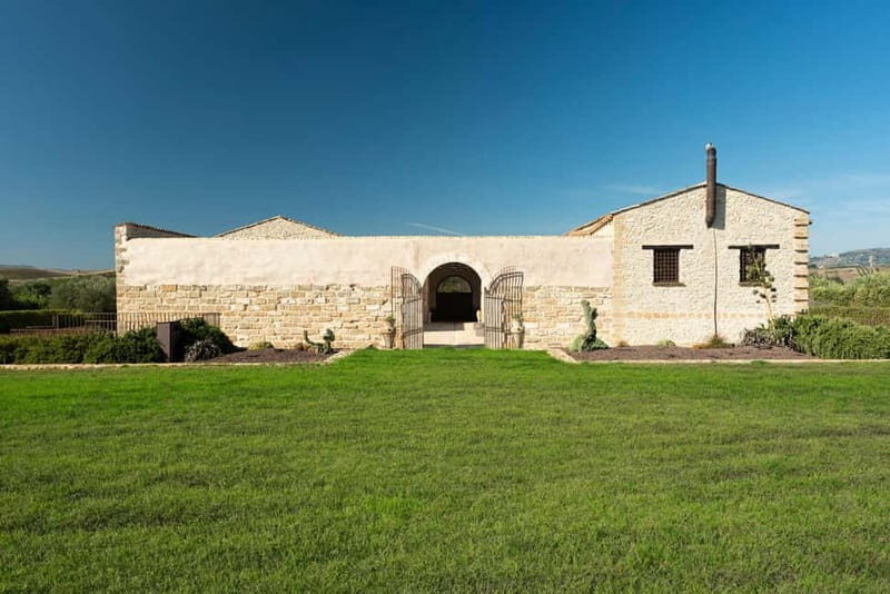 Olive grove walk and Tasting - Exploring Sicily’s Olive Grove and Tasting Experience