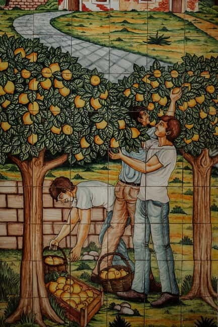 Olive grove walk and Tasting - A Journey Through Sicily’s Countryside