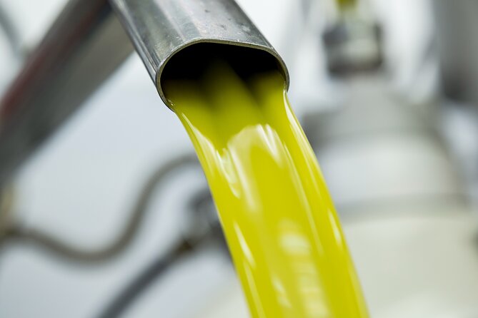 Olive Harvest, Visit to the Oil Mill and Typical Lunch - Accessibility and Booking