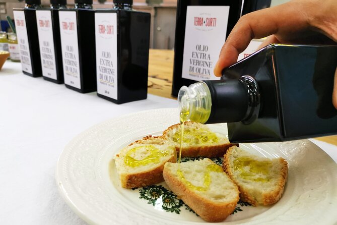 Olive Harvest, Visit to the Oil Mill and Typical Lunch - Traveler Reviews and Ratings