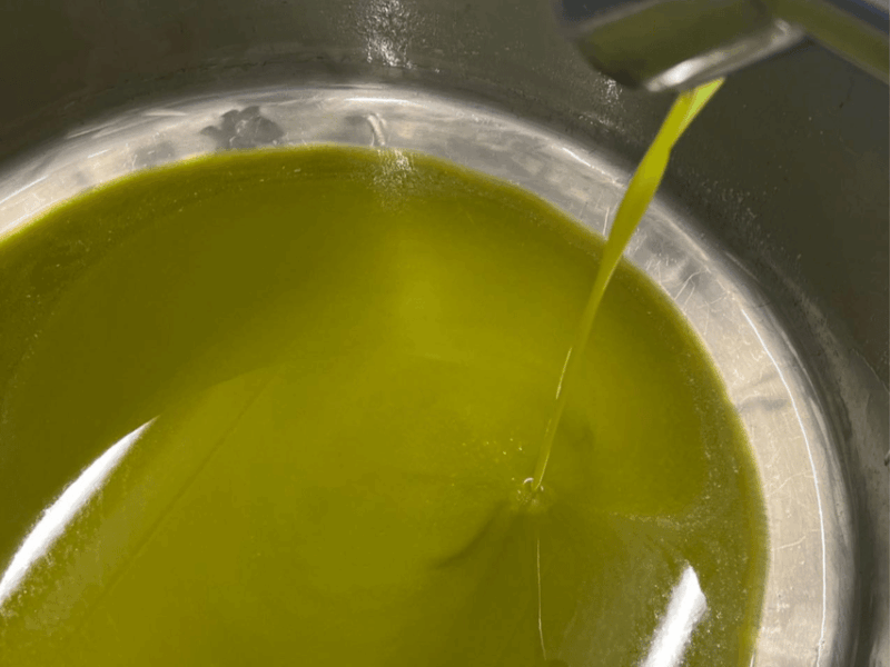 Olive Mill Tour and Tasting in the Padua Hills - The Olive Oil Production Process