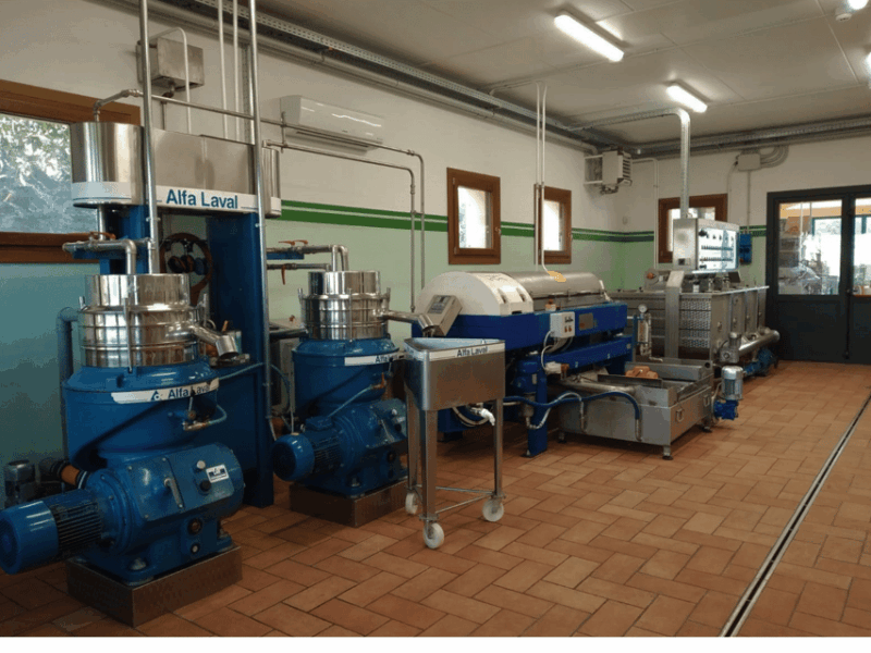 Olive Mill Tour and Tasting in the Padua Hills - The Guided Tasting Experience