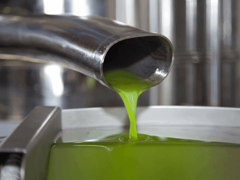 Olive Mill Tour and Tasting in the Verona Countryside - Highlights of the Tour