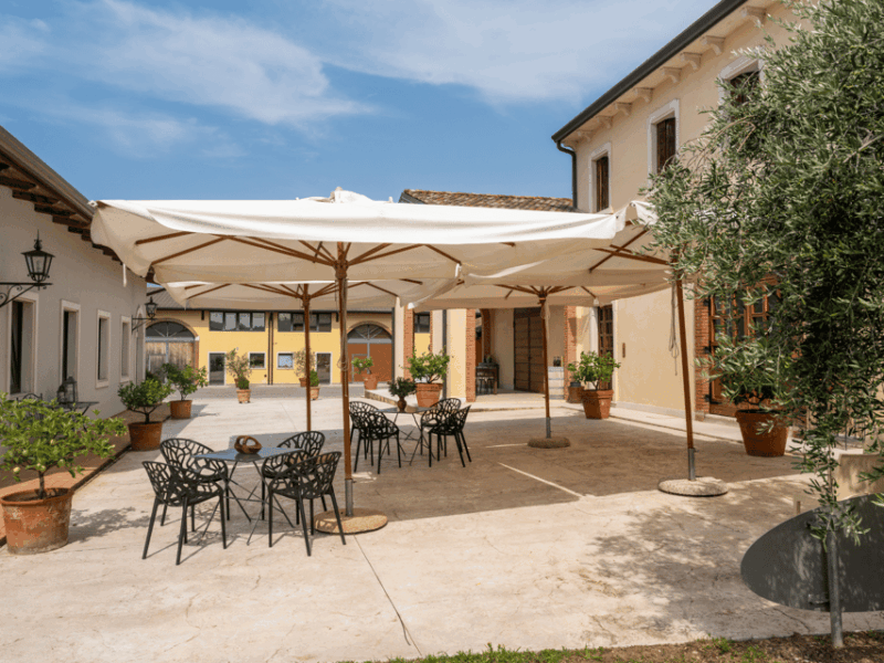 Olive Mill Tour and Tasting in the Verona Countryside - Customer Feedback and Accessibility