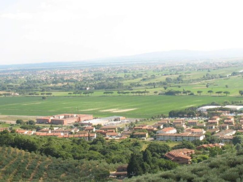 Olive Mill Tour With Oil and Food Tastings Near Pisa - Key Points