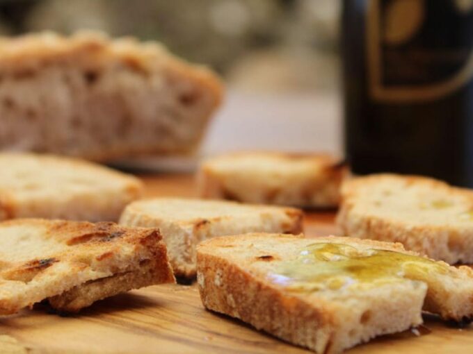 Olive Mill Tour With Oil and Food Tastings Near Pisa - Discovering the Olive Grove