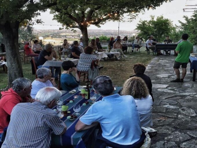 Olive Mill Tour With Oil and Food Tastings Near Pisa - Exploring the Mills Traditions