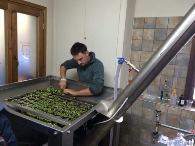 Olive Mill Tour With Oil and Food Tastings Near Pisa - Frequently Asked Questions