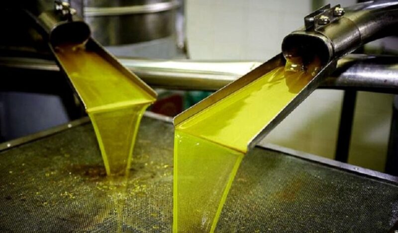 Olive Mill Visit & Olive Oil Tasting 3-Hour Trip Private - Highlights of the Trip
