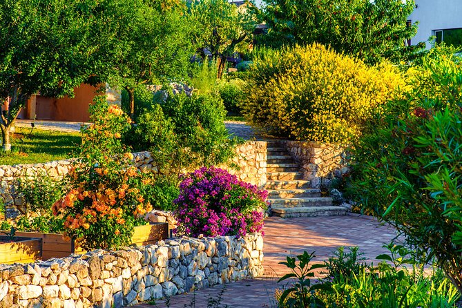 Olive Museum Klis With Educational Olive Oil Tasting - Tour Logistics and Accessibility