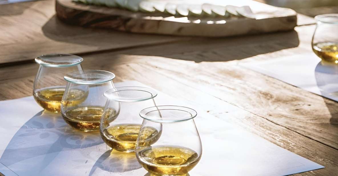 Olive Oil, Cheese, and Wine Tasting With Local Expert - Tasting of Award-winning Olive Oils