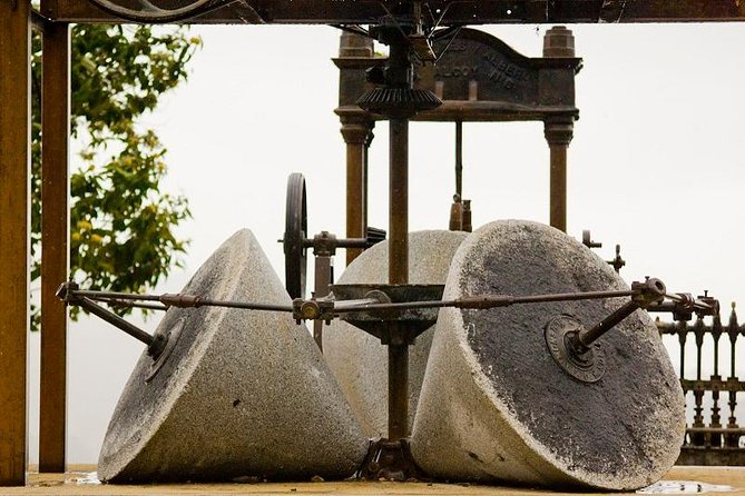 Olive Oil Farm Tour With Tasting From Seville - Important Tour Information
