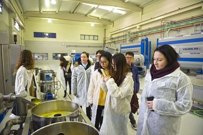 Olive Oil Mill Visit with Extra-Virgin Olive Oil Tasting in Jaén - The Sum Up
