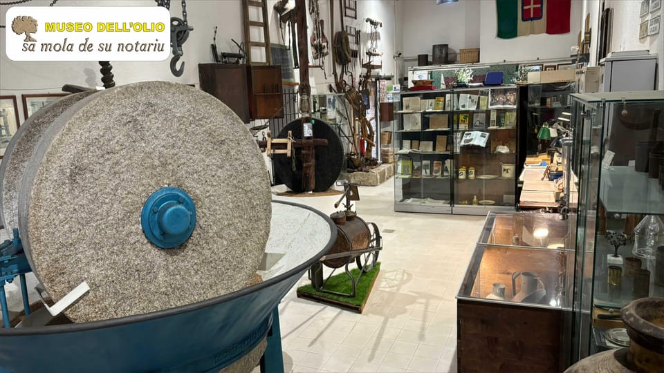 Olive Oil Museum: Extravirgin Lesson - Food & Wine Tasting - Included Amenities