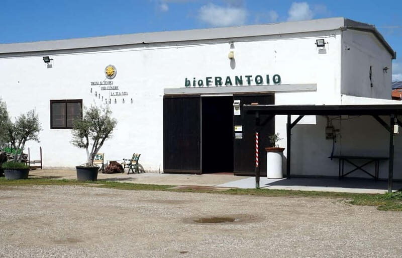 Olive Oil Museum: Extravirgin school - Food & wine tasting - Exploring Sardinia’s Olive Oil Heritage: A Review of the Extravirgin School & Tasting Tour
