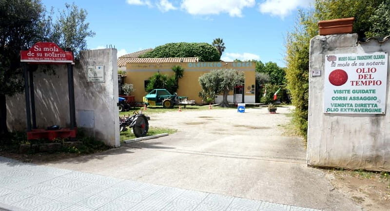 Olive Oil Museum: Extravirgin school - Food & wine tasting - Who Will Love This Tour?
