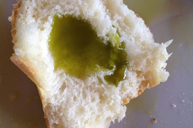 Olive Oil Private Full-Day Tour with Tasting in Valencia - Who Should Book This Tour?