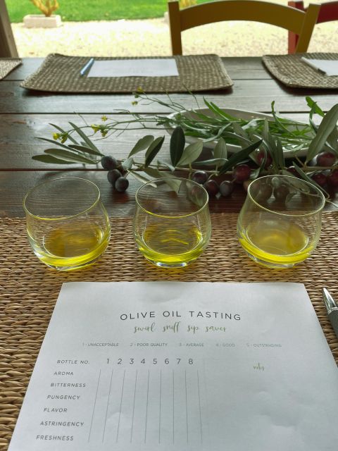 Olive Oil Tasting and Olive Grove Walking Tour - Recap
