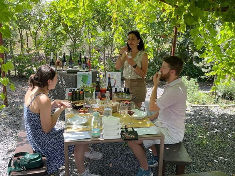 Olive Oil Tasting Experience in Nicolosi - Final Thoughts