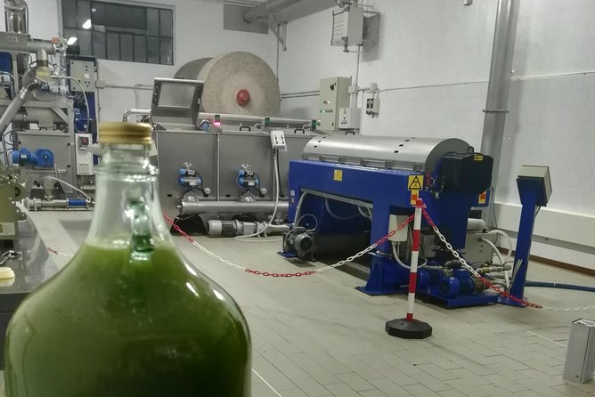 Olive Oil Tasting in Abruzzo - Customer Feedback and Experiences
